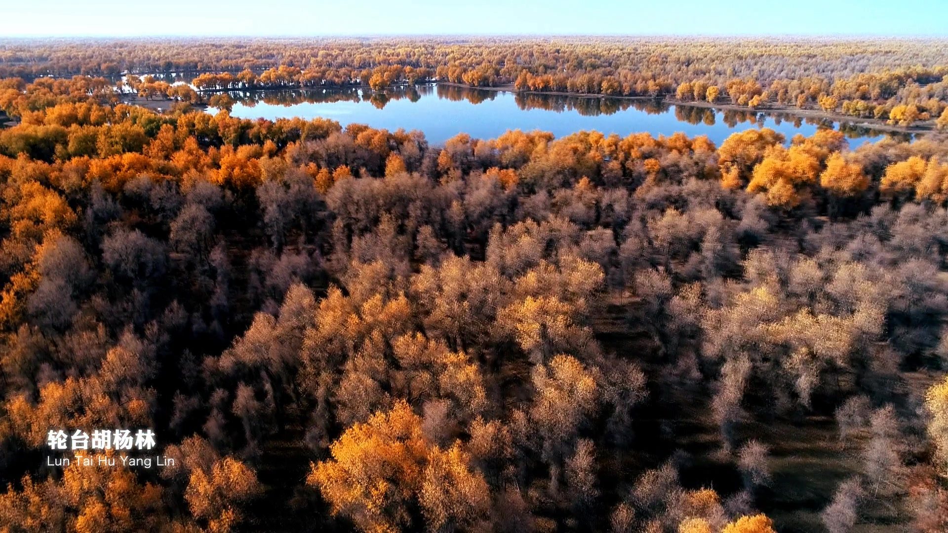 新疆手机屏保新闻2024年龙年手机屏保-第2张图片-太平洋在线下载