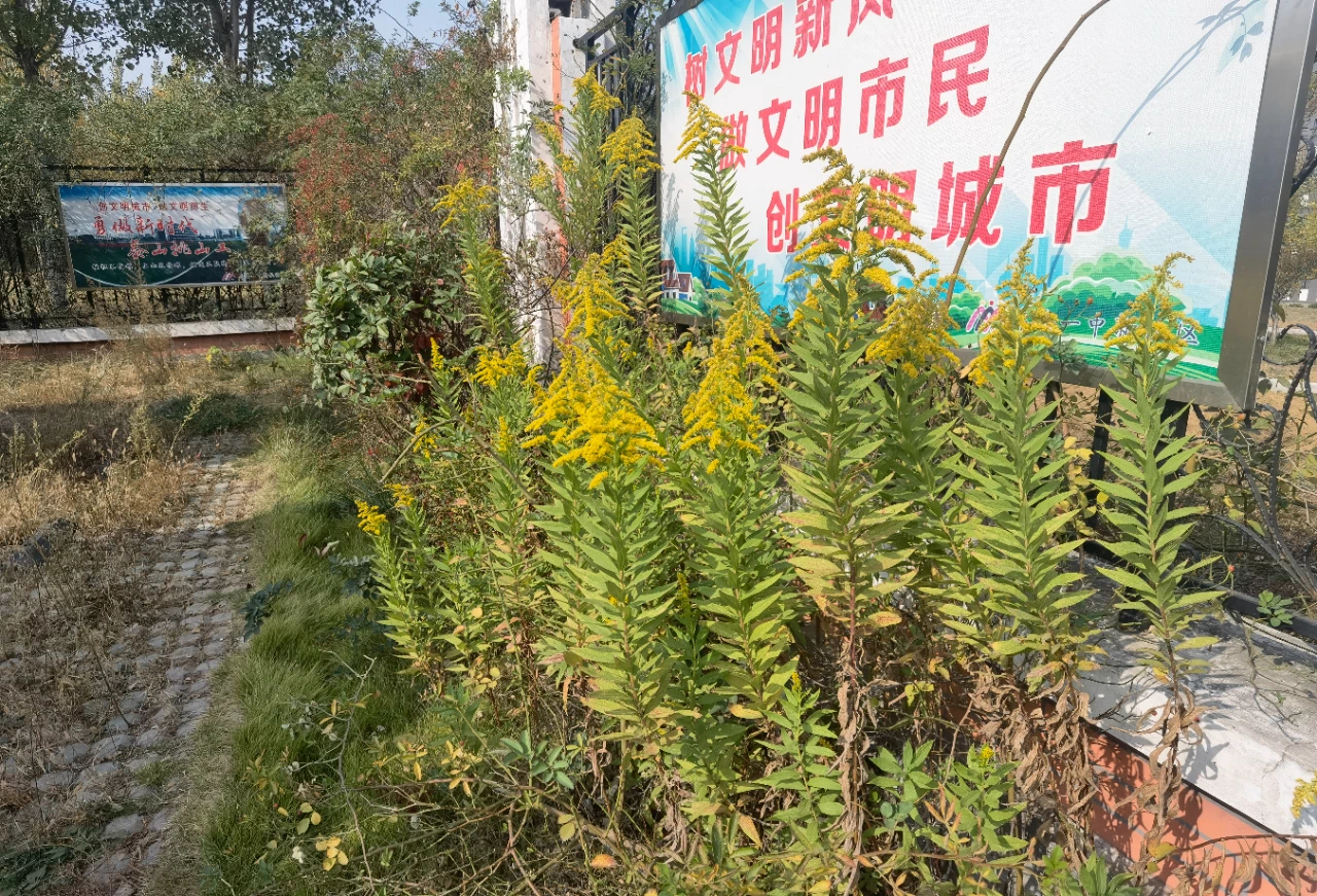 大众网海报新闻客户端大众网海报新闻是什么机构-第2张图片-太平洋在线下载