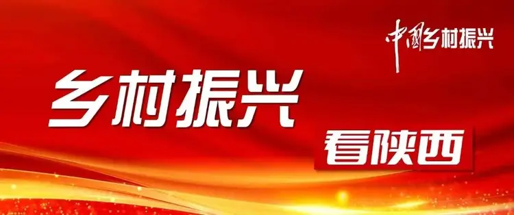 有机苹果产销对接会新闻稿市领导在产销对接会上的讲话-第2张图片-太平洋在线下载