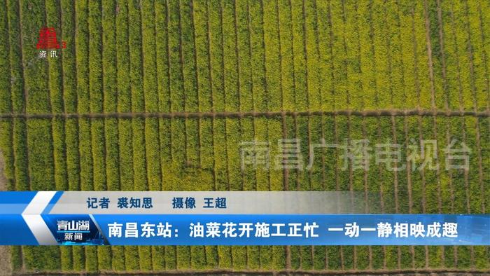 南昌新闻头条客户端官网江西新闻客户端电脑版官网