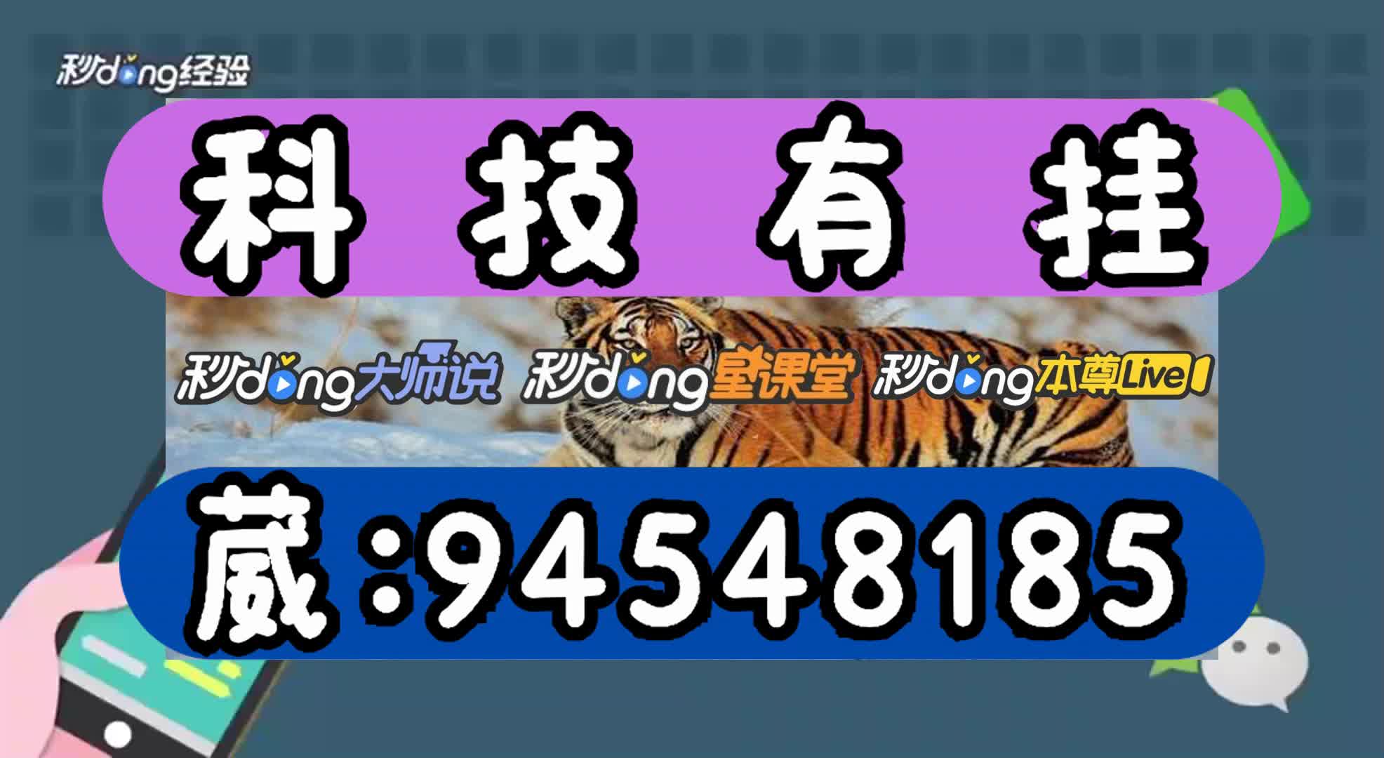 陕西真人挖坑手机版陕西挖坑游戏下载真人版