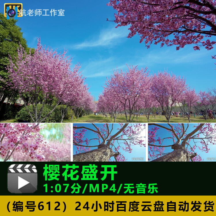 樱花视频在线手机版带着智能手机闯荡异世界第二季樱花动漫