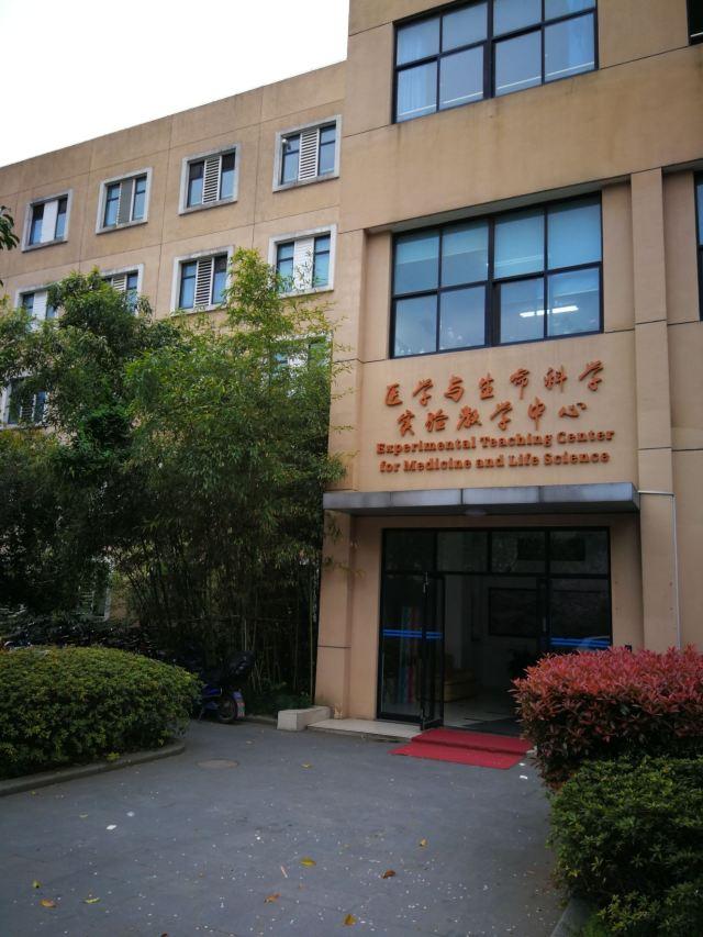medle安卓版kmplayer安卓版