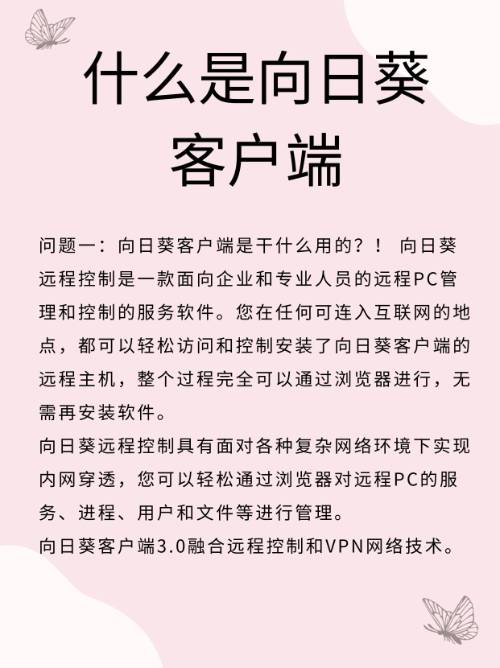 远程客户端和控制端远程客户端是什么意思