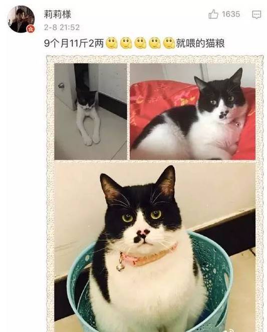 莉莉手机版免费视频哈哈莉爷熊猫直播高能时刻视频-第2张图片-太平洋在线下载