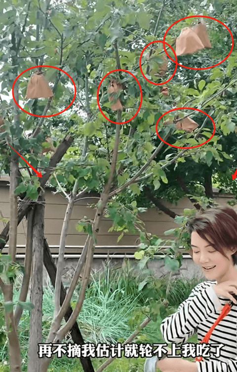 晒了吗下载苹果版苹果助手下载手机版-第2张图片-太平洋在线下载