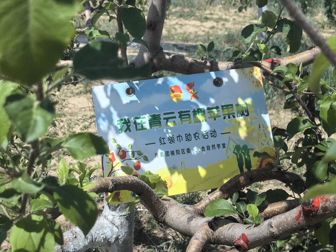 太平学堂app苹果版太平学堂网页版登录入口-第1张图片-太平洋在线下载