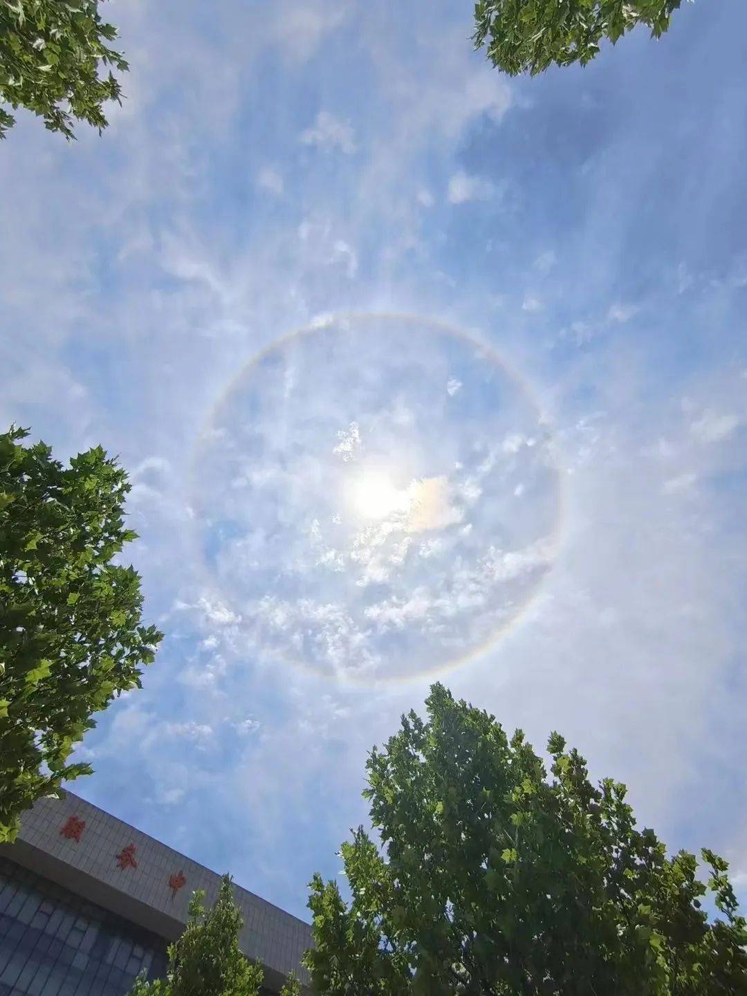 七彩云苹果版七彩云平台官网登录