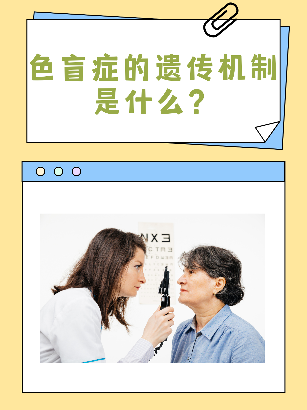 全色盲安卓版医院专用色盲图-第2张图片-太平洋在线下载