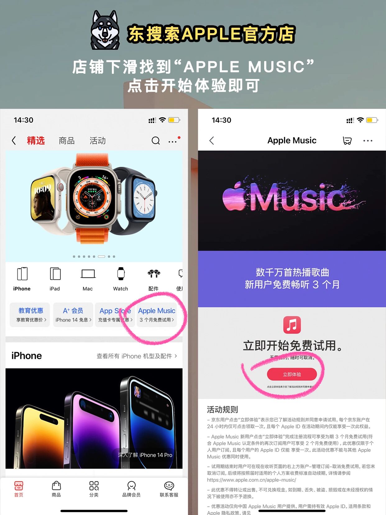 苹果超级快版苹果历代全系列